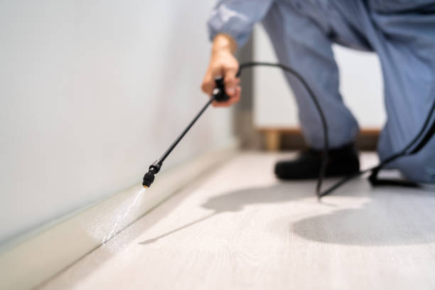 Licensed Termite Control service in Dickinson, TX - Nex Pest Control