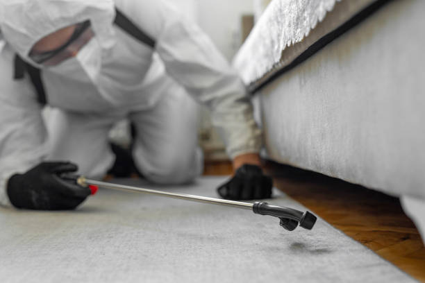 Professional Termite Control technician working in Dickinson, TX