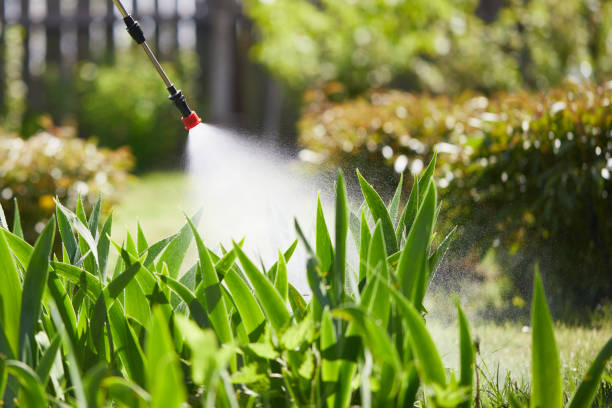 24/7 Emergency Termite Control experts in Dickinson, TX