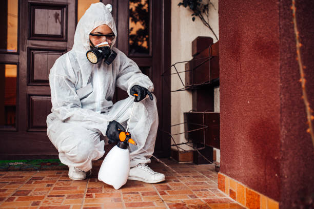 Reliable Termite Control contractor in Dickinson, TX by Nex Pest Control