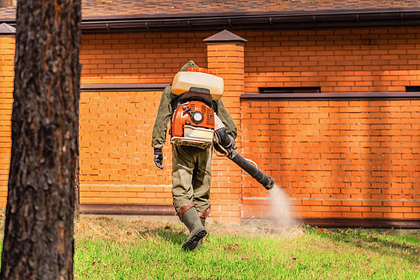Trusted Cockroach Control service in Dickinson, TX - Nex Pest Control